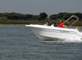 NAUTIMANGA. DIPOLGLASS 580 CP OPEN