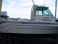 Nautimanga La Unión. PLAYAMAR 600 FISHER